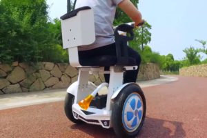 Electric Mobility Device details