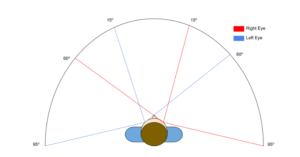 Vision Field Image